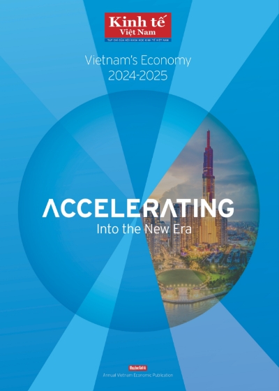 Vietnam's Economy 2024 - 2025