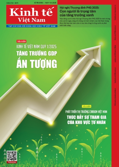 TCKTVN Số 15
