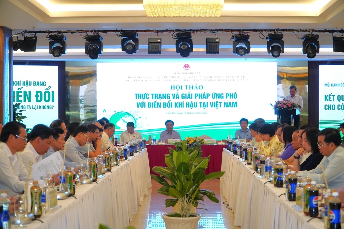 Hội thảo 