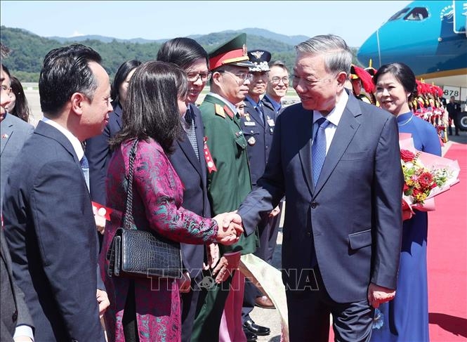 Cán bộ, nhân viên Đại sứ quán và cộng đồng người Việt Nam tại Hàn Quốc đón Tổng Bí thư Tô Lâm và Phu nhân ở Sân bay quân sự Seongnam. Ảnh: TTXVN