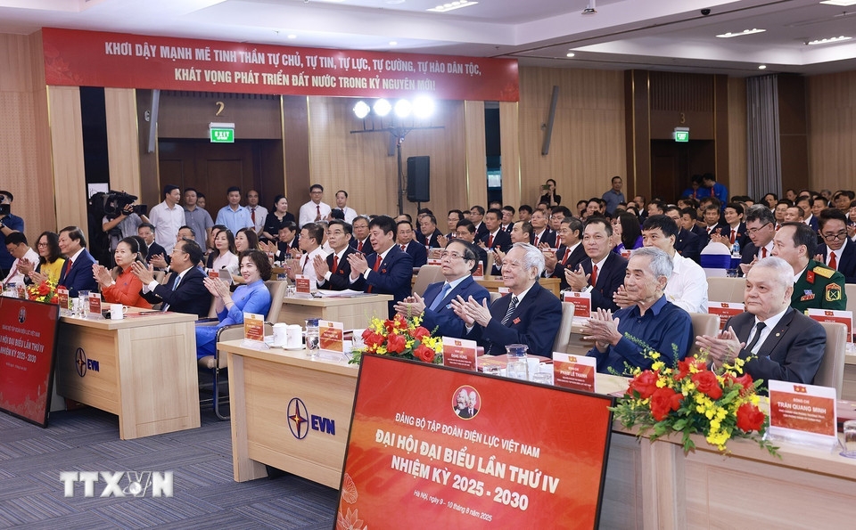 &nbsp; &nbsp; &nbsp; &nbsp; &nbsp; &nbsp; &nbsp; &nbsp; &nbsp; Quang cảnh Đại hội Đảng bộ Tập đoàn Điện lực Việt Nam. Ảnh: TTXVN