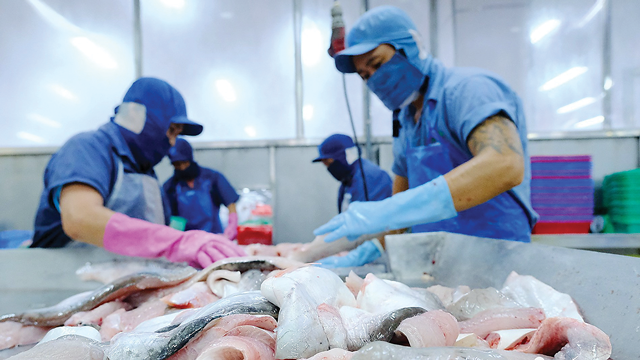 Cá tra phi lê đông lạnh là mặt hàng chủ lực trong xuất khẩu cá tra.