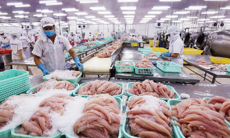 Xuất khẩu cá tra có cơ hội tăng trưởng mạnh