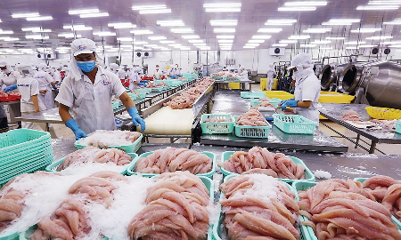 Xuất khẩu cá tra có cơ hội tăng trưởng mạnh