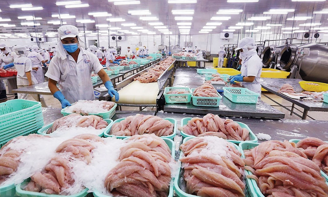Xuất khẩu cá tra  tăng 11,1% trong 7 tháng đầu năm