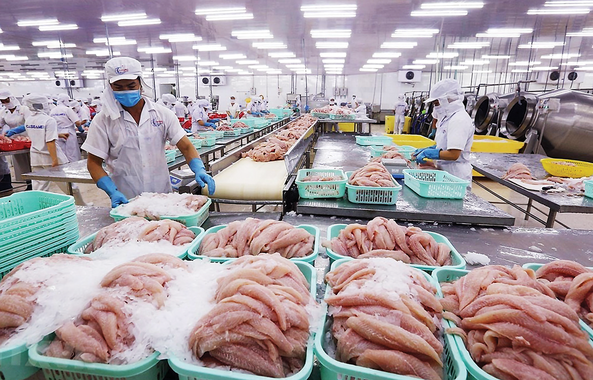 Xuất khẩu cá tra  tăng 11,1% trong 7 tháng đầu năm