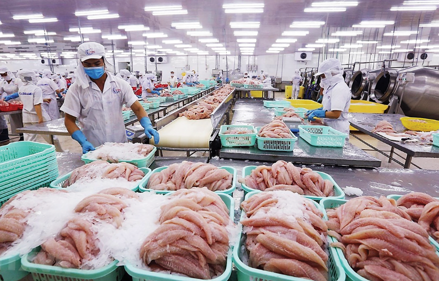 Xuất khẩu cá tra  tăng 11,1% trong 7 tháng đầu năm