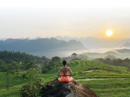 Tiềm năng kinh tế từ y học cổ truyền
