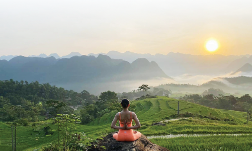 Tiềm năng kinh tế từ y học cổ truyền