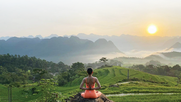 Tiềm năng kinh tế từ y học cổ truyền