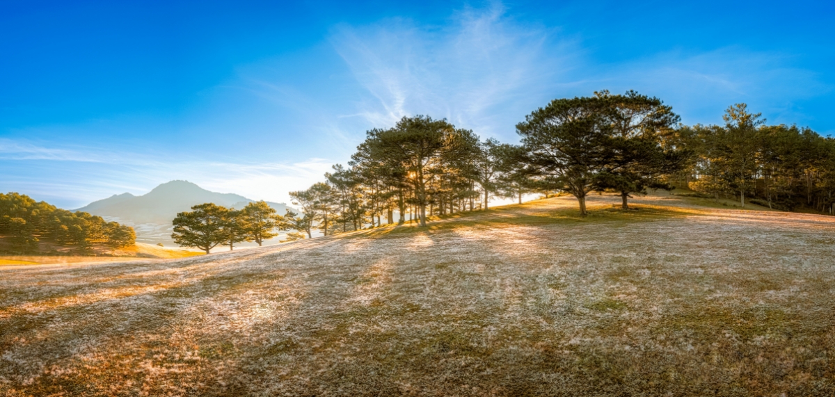 Đà Lạt với nhiều cảnh đẹp, nằm trong top 3 điểm ngắm hoa đẹp nhất thế giới. Ảnh: Đặng Văn An