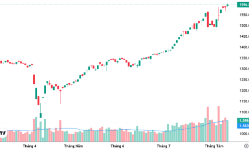 Cổ phiếu lớn suy yếu, VN-Index “tuột” mốc 1600 điểm