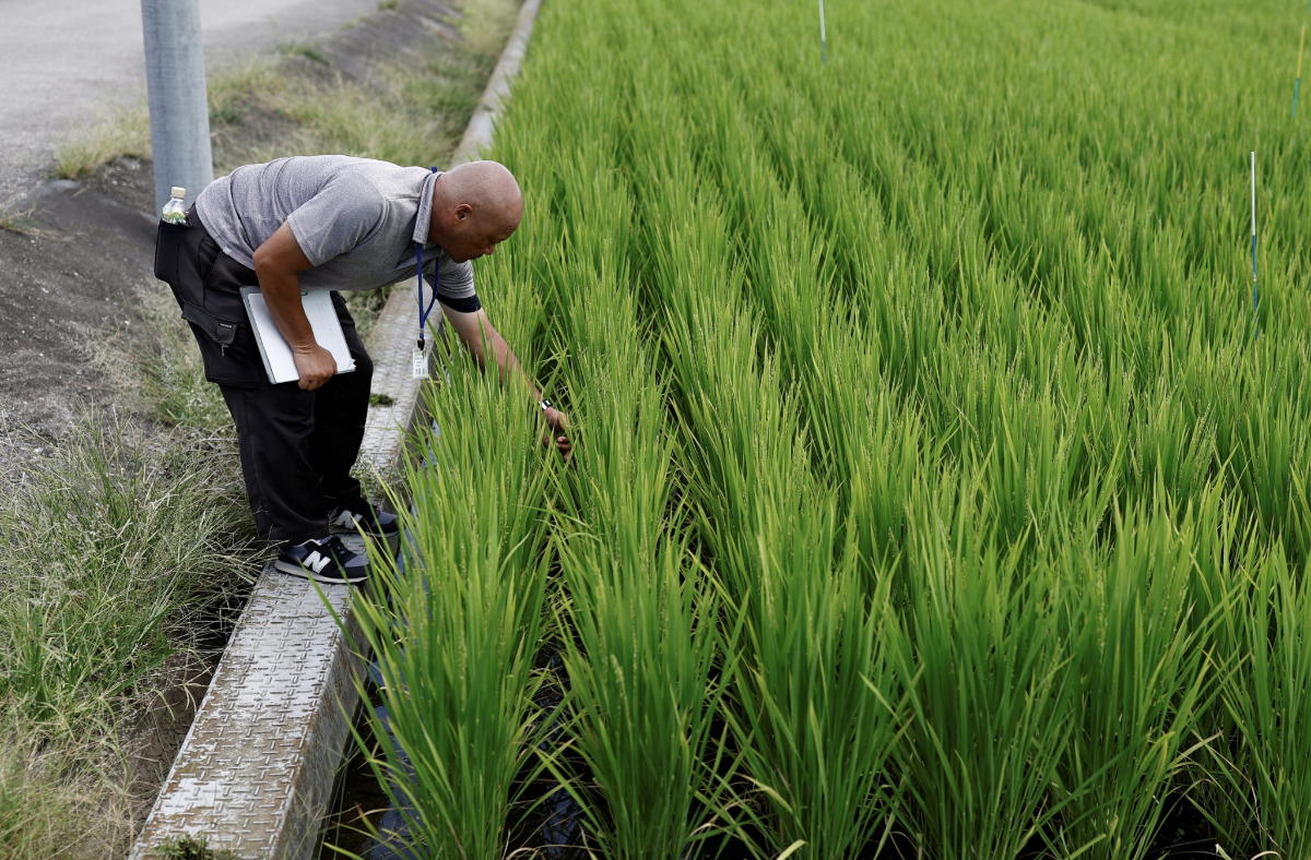 Ảnh minh họa - Ảnh: Reuters.