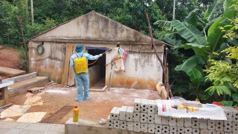 Phun tiêu độc khử trùng, diệt côn trùng.