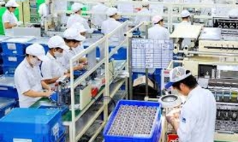 Doanh nghiệp Nhật Bản tại Việt Nam muốn mở rộng thu mua nội địa