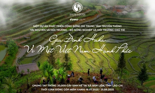 Timo hợp tác cùng Bộ Nông Nghiệp và Môi Trường trồng rừng