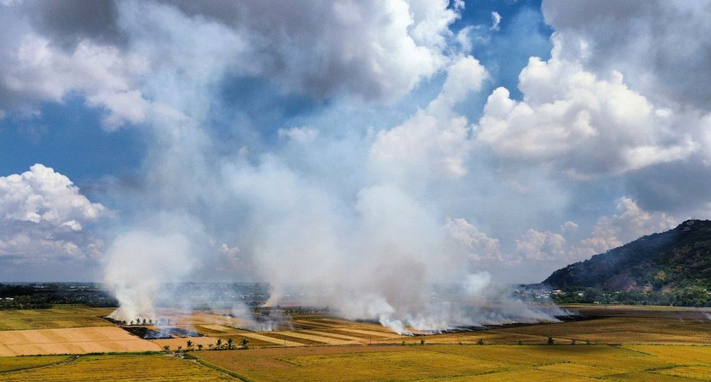 Lượng lớn rơm sau thu hoạch vẫn bị đốt bỏ trực tiếp, gây ô nhiễm môi trường và phát thải khí nhà kính.