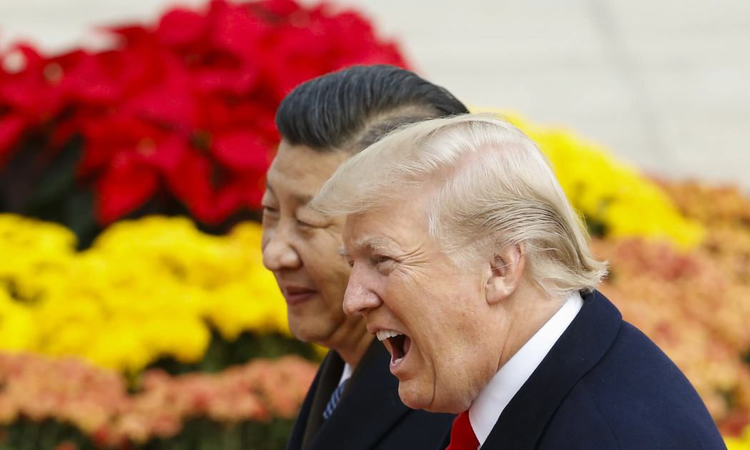 Chủ tịch Trung Quốc Tập Cận Bình và Tổng thống Mỹ Donald Trump trong cuộc gặp ở Bắc Kinh năm 2017 - Ảnh: Bloomberg.