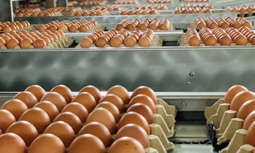 Cơ hội để hàng Việt Nam chiếm lĩnh  thị trường Campuchia