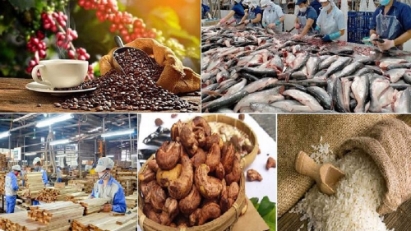 Xuất khẩu nông sản: Giữ vững thị trường trọng điểm, mở rộng thị trường mới