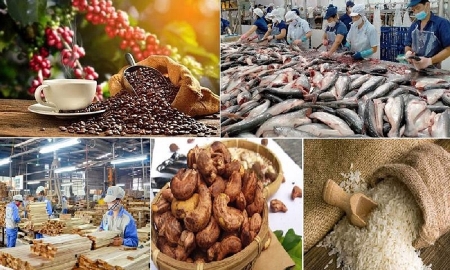 Xuất khẩu nông sản: Giữ vững thị trường trọng điểm, mở rộng thị trường mới