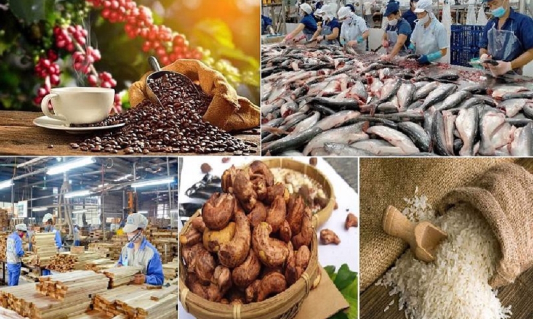 Xuất khẩu nông sản 7 tháng năm 2025 vẫn tăng trưởng mạnh