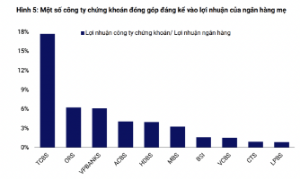 Thanh khoản bùng nổ, lợi thế thuộc về công ty chứng khoán có ngân hàng "mẹ"