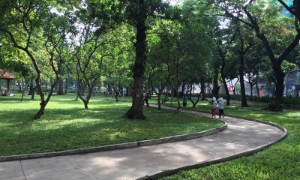 TP.HCM tăng tốc chuyển đổi năng lượng xanh sau sáp nhập