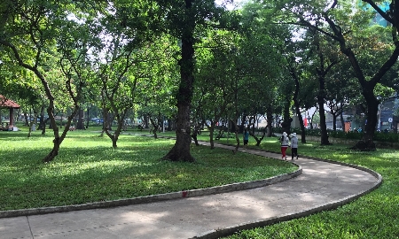 TP.HCM tăng tốc chuyển đổi năng lượng xanh sau sáp nhập