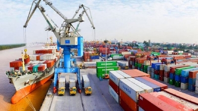 Dong Nai records $4.4 bln in trade surplus in 7M