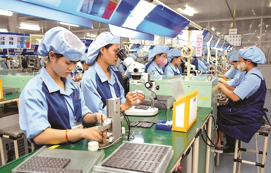 Các doanh nghiệp Nhật Bản đang ngày càng kỳ vọng vào thị trường nội địa Việt Nam.