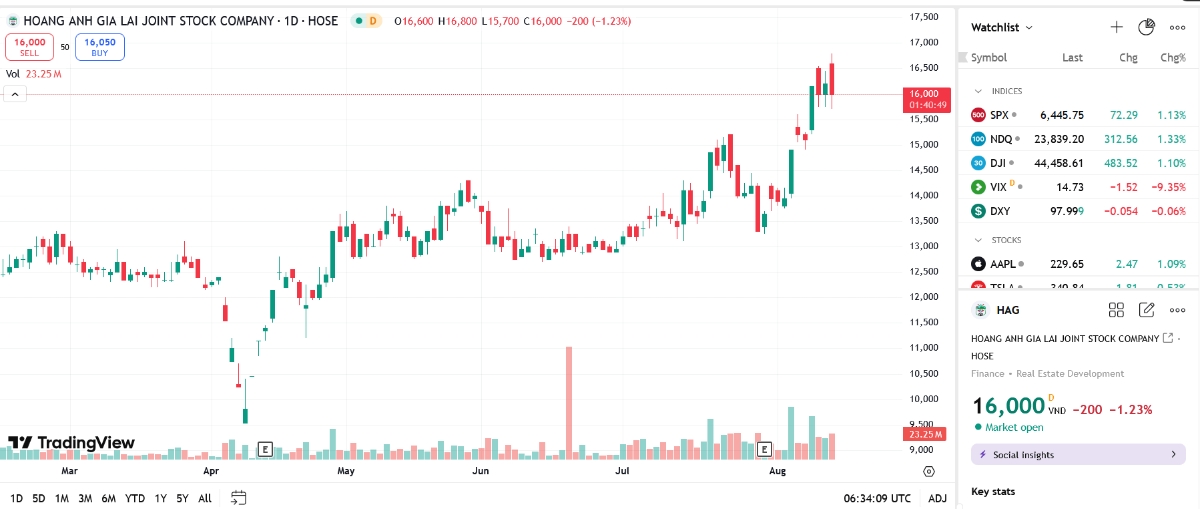 Con trai Chủ tịch HAG đăng ký mua 27 cổ phiếu HAG 
