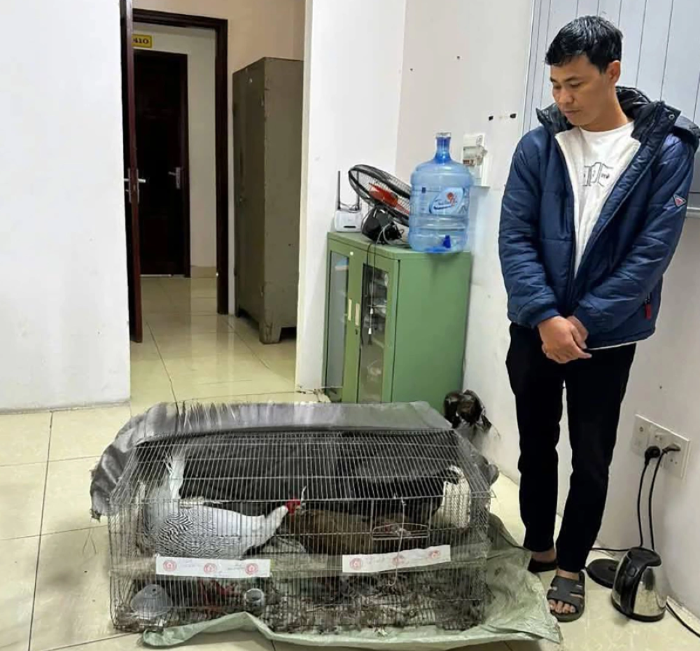 Thái Khắc Thành và 