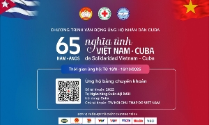 Nhiều hoạt động hướng đến