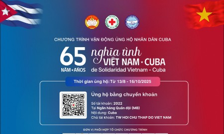 Nhiều hoạt động hướng đến