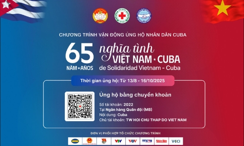 Nhiều hoạt động hướng đến 