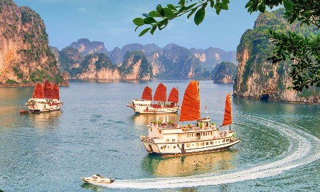 Tàu du lịch vịnh Hạ Long nâng cấp chất lượng, chào đón du khách trở lại