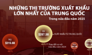 10 thị trường xuất khẩu lớn nhất của Trung Quốc nửa đầu năm 2025
