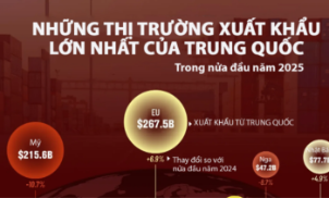10 thị trường xuất khẩu lớn nhất của Trung Quốc nửa đầu năm 2025