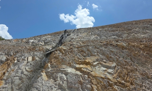 Yêu cầu đình chỉ thi công nếu công trình xảy ra tai nạn lao động