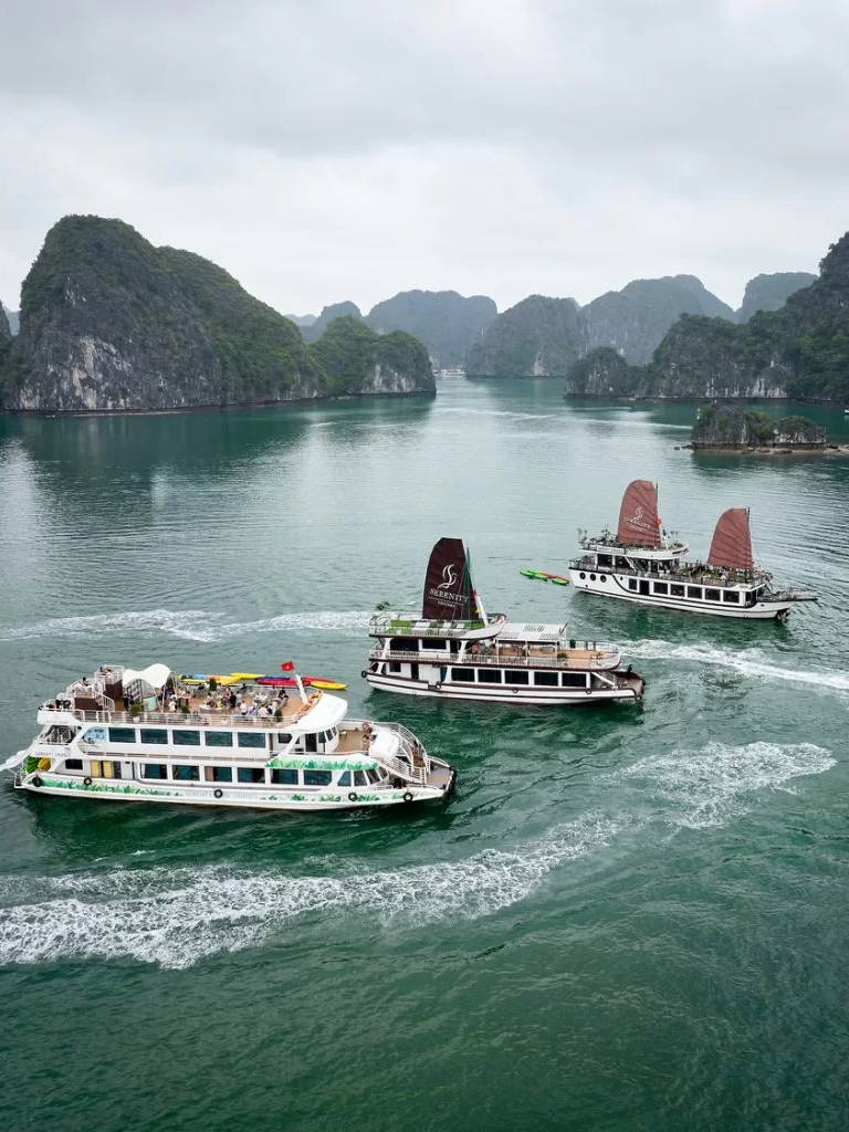 Vịnh Hạ Long bổ sung thêm 6 vị trí có điều kiện tự nhiên kín gió, phù hợp cho tàu du lịch tránh trú.