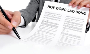 Chính phủ yêu cầu hoàn thiện nền tảng hợp đồng lao động điện tử