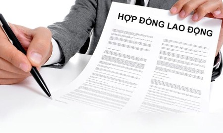 Chính phủ yêu cầu hoàn thiện nền tảng hợp đồng lao động điện tử