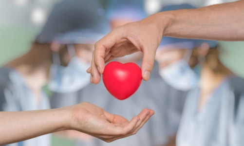 Dấu mốc mới cho y học Việt Nam trên bản đồ ghép tạng thế giới