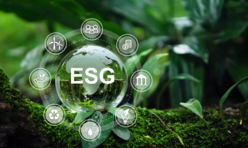 ESG- Chìa khóa mở cánh cửa thị trường quốc tế cho OCOP