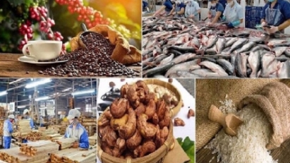 Agricultural, forestry, and fisheries exports on the rise