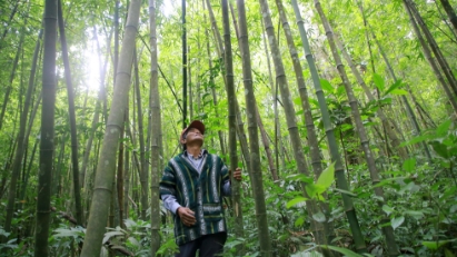 Thanh Hóa phát triển sản phẩm tre luồng thành "vàng xanh", vươn ra thị trường quốc tế
