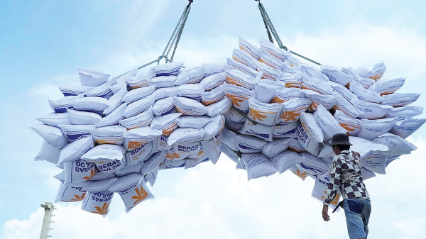 Việt Nam vươn lên thứ hai thế giới về xuất khẩu gạo