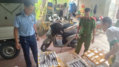 Thanh Hóa bắt, tiêu hủy gần 1,2 tấn côn trùng, động vật bốc mùi chuẩn bị bán làm thực phẩm
