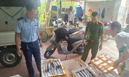Thanh Hóa bắt, tiêu hủy gần 1,2 tấn côn trùng, động vật bốc mùi chuẩn bị bán làm thực phẩm